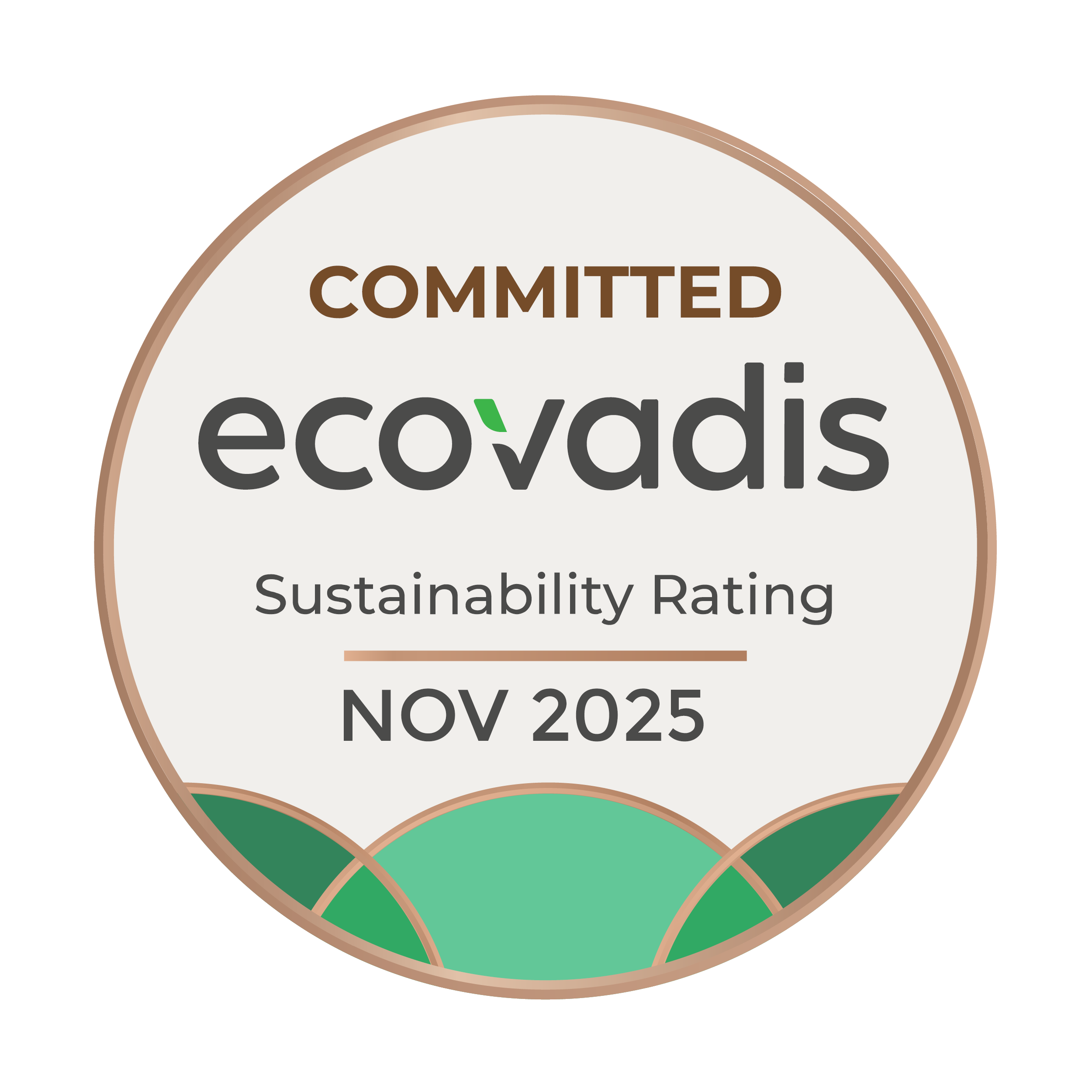 EcoVadis Silver Medal